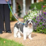 Enjoy a stroll with your pet on our beautiful walking trails